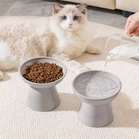 Elevated Cat Bowl Set With Stoneware Shallow Water Bowl And Deep Food Bowl - Designed For Comfortable And Mess-Free Feeding - Grey